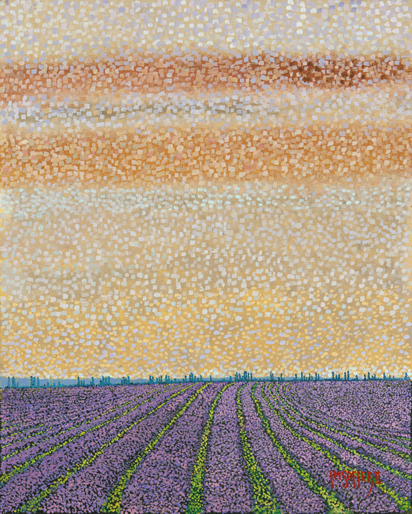 Lavender Fields IV