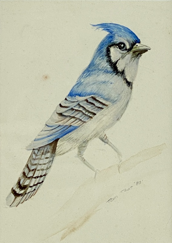 Blue JayNFS, From a Private Collection