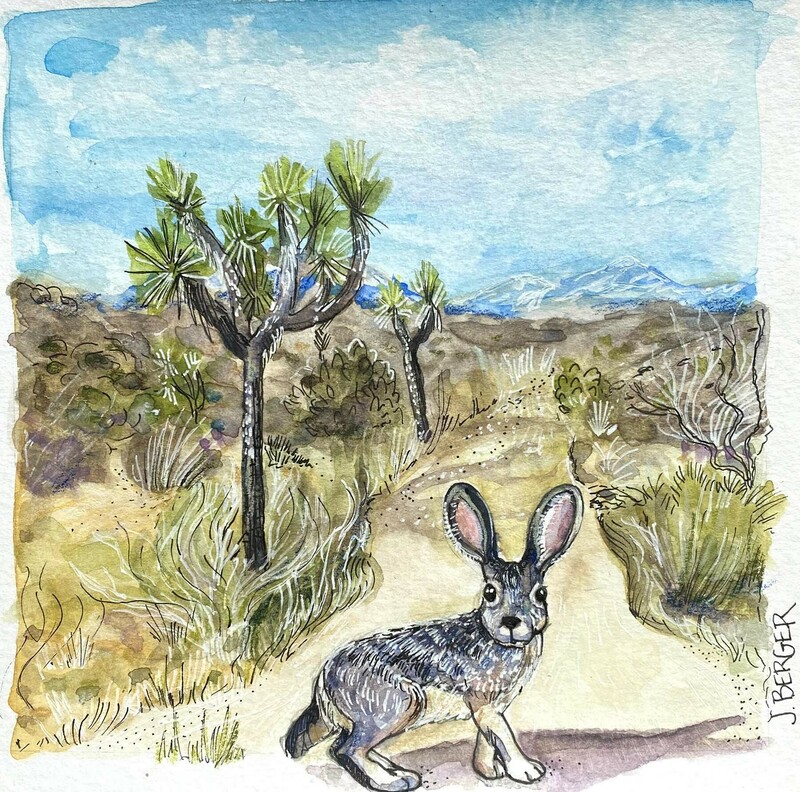 Jackrabbit on Trail