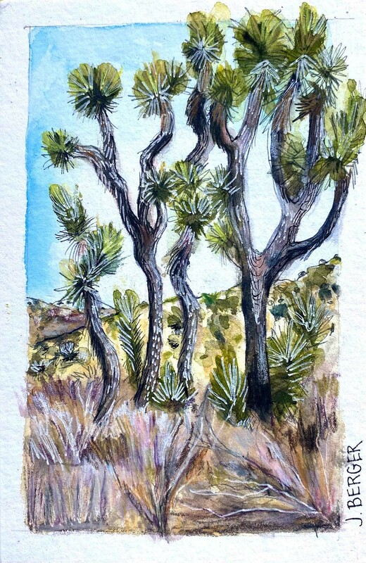 Crazy Joshua Trees